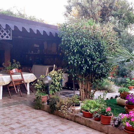 B&B Giomar Campanedda Exterior foto