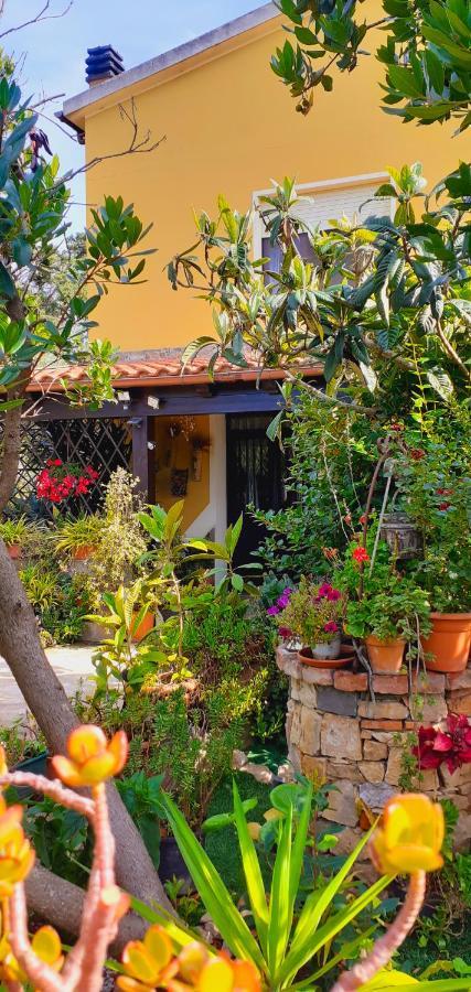 B&B Giomar Campanedda Exterior foto